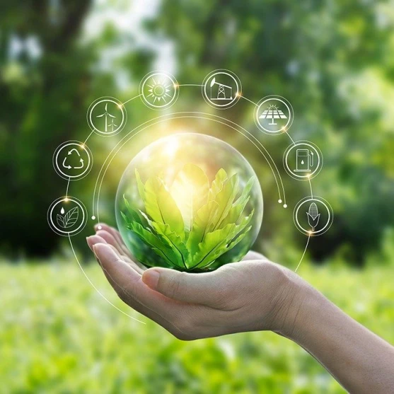 Confira dicas da ABREE para ajudar o meio ambiente