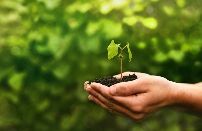 Dia Mundial do Meio Ambiente: momento oportuno de reflexão